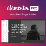 Elementor Pro Page Builder WordPress Plugin 4.2.0 GPL